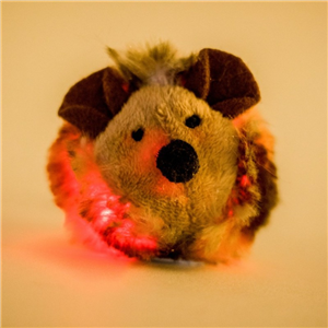 Squeak & Flash Mouse